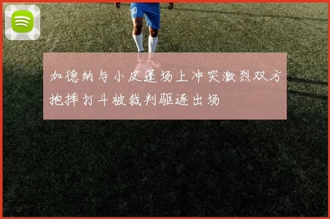 加德纳与小皮蓬场上冲突激烈双方抱摔打斗被裁判驱逐出场